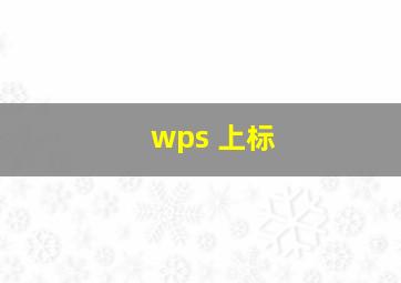 wps 上标